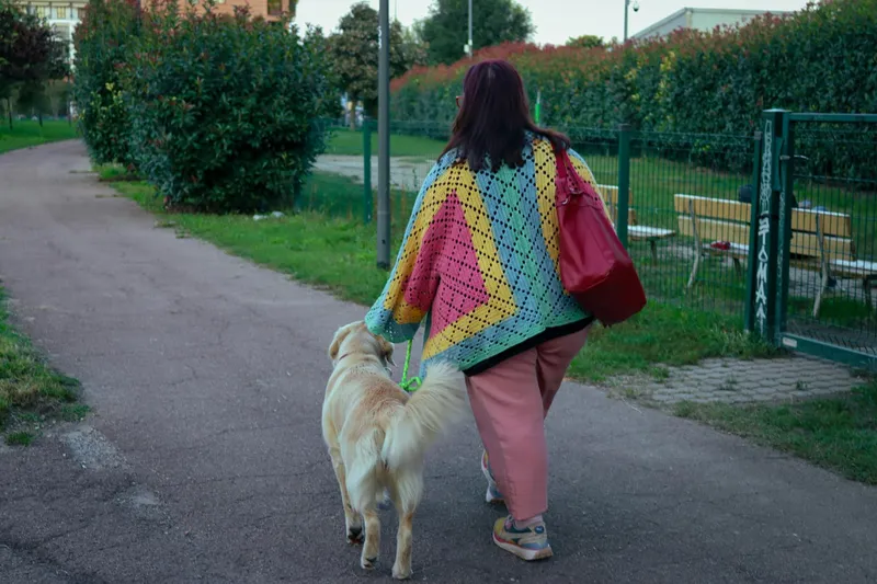 Pasear a tu perro: guía completa de paseo y viaje